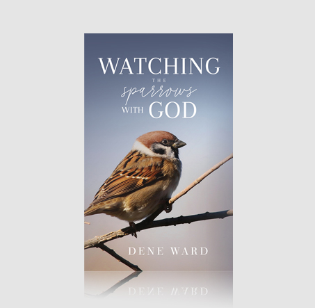 Watching the Sparrows with God